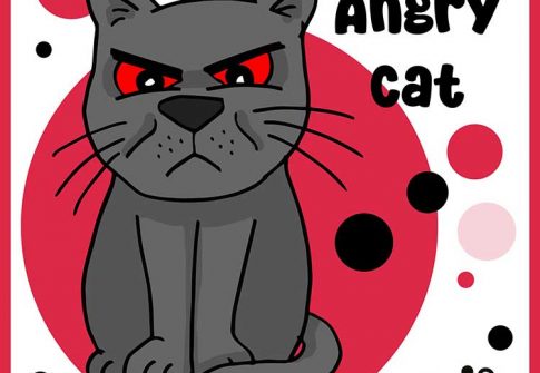 06_06_2024_Katze041-angrycat-web